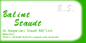 balint staudt business card